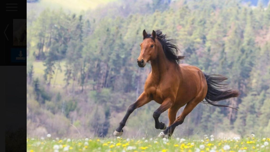 Statek Stranovice Daire Malenitz Dış mekan fotoğraf